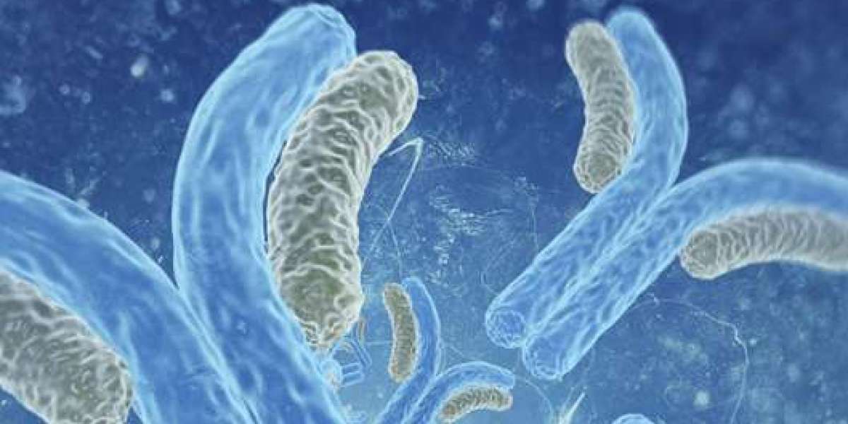 The Transformative Power of Gene Therapy
