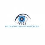 Valdes Investigation Group