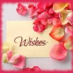Blissful Wish