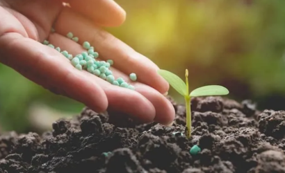 Wholesale Biofertilizer Supplier | Organic Biofertilizer