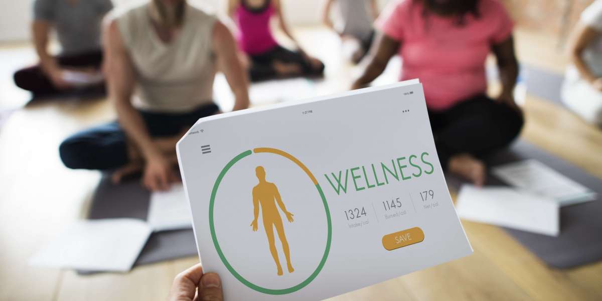 Why Every Wellness Professional Needs a Custom Website by Wellovis