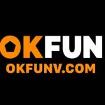 OKFUN VCOM