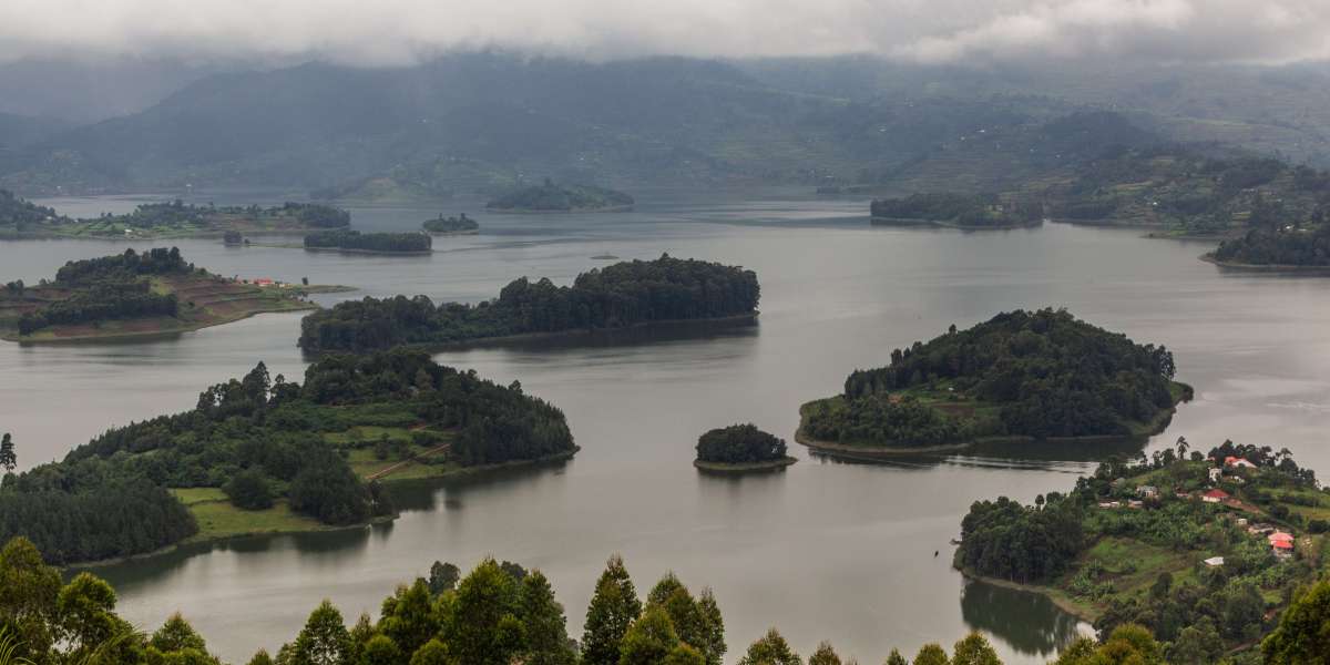 Top Safari and Natural Destinations in Uganda: An Authentic Traveler's Perspective
