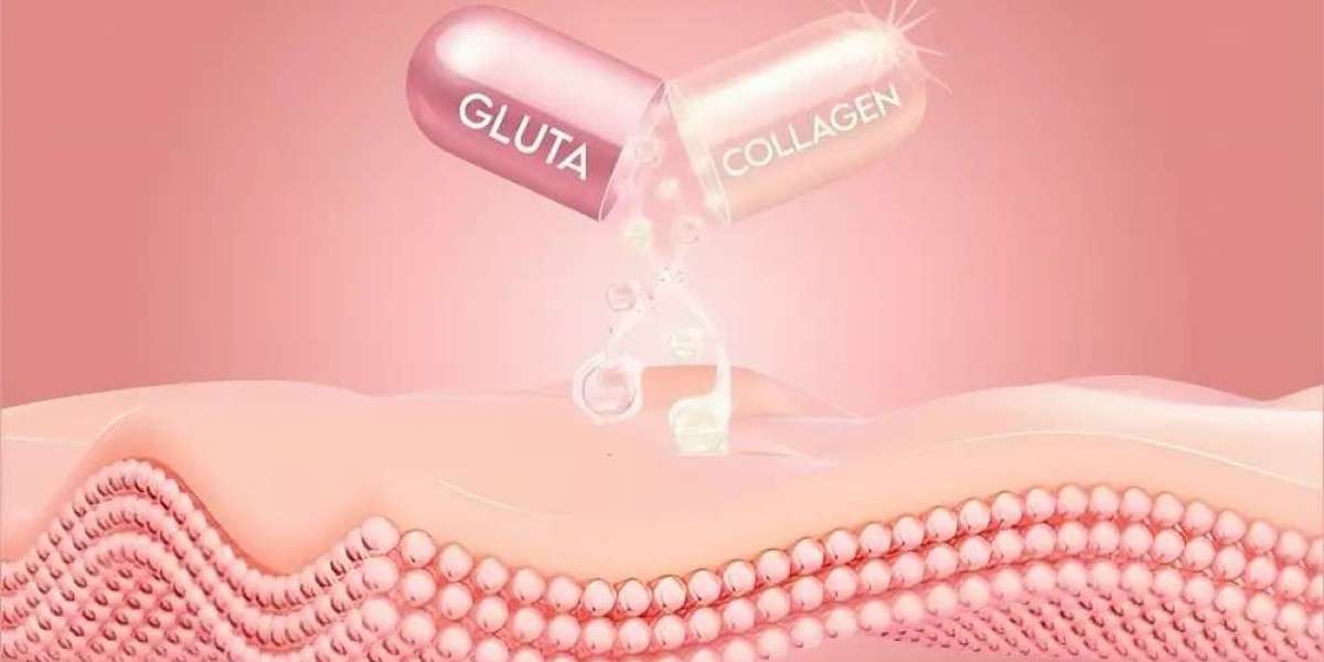 Chitosan Wholesale: A Complete Guide for Buyers and Businesses