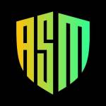 AppSecMaster LLC