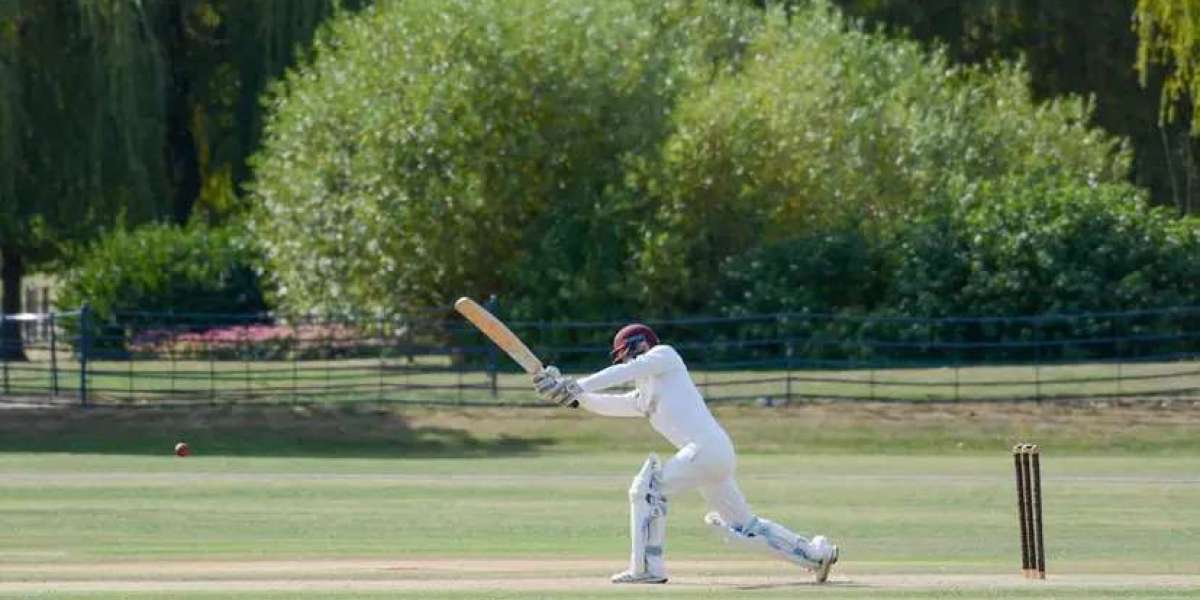 Mental Toughness and Cricket Success