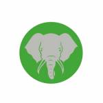Elephant Trunk