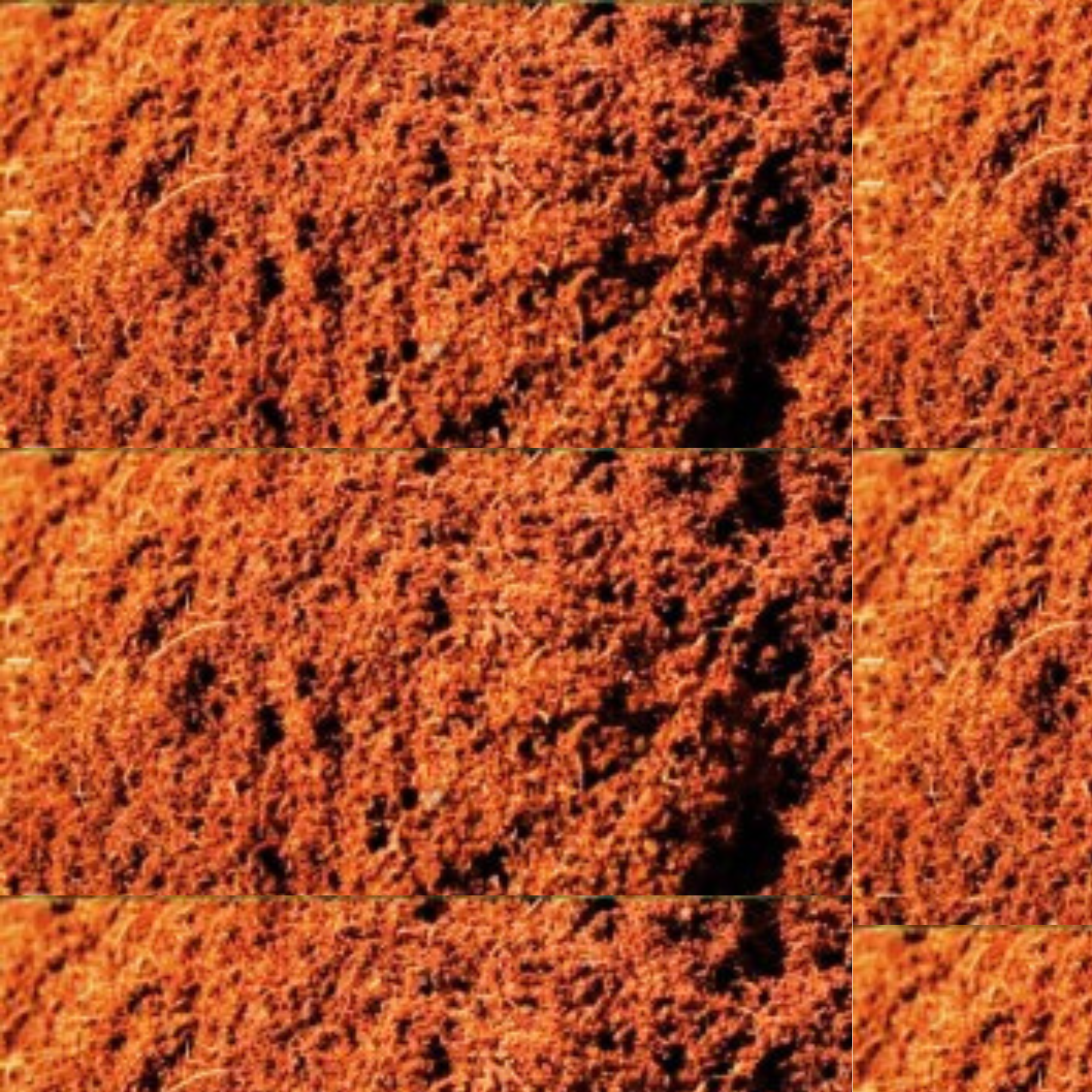 Coco Peat 5 KG - QPSL