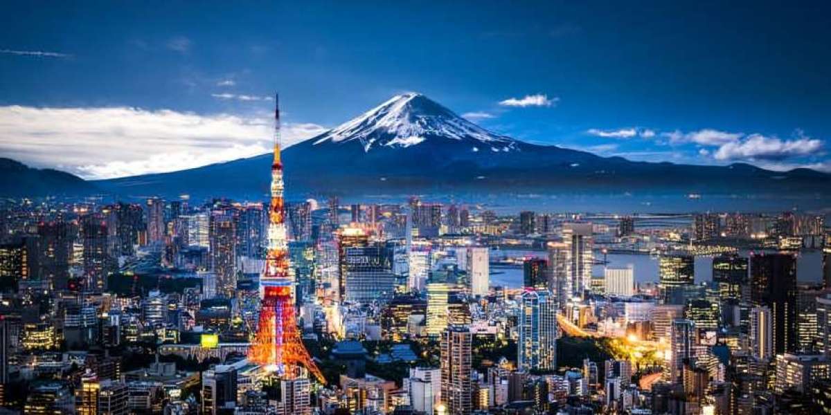 Seasonal Travel in Japan: Cherry Blossoms to Winter Snow