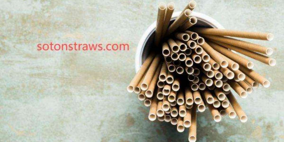 How Soton Enables Community-Led Paper Straws Manufactory Worldwide