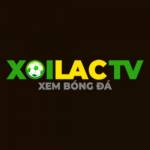 moroccancam.com lua dao nguoi dung