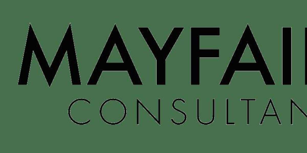Expert Data Governance, Management, and Transformation Solutions