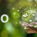 ECO4 Grant