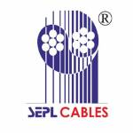Suyog Electrical Ltd