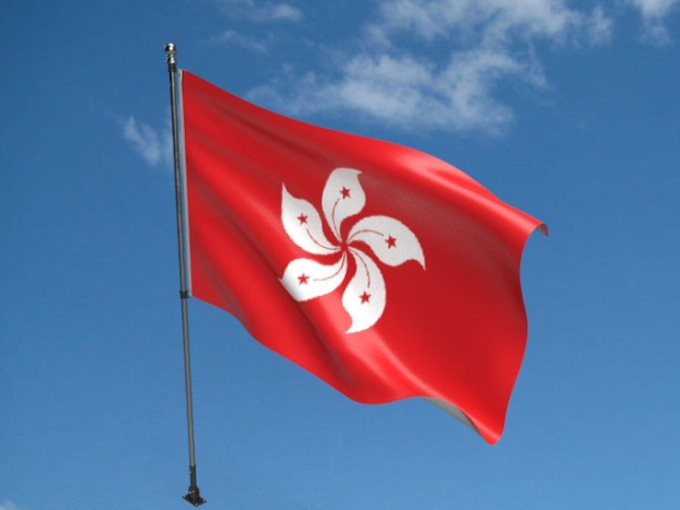 如何透過 HKFRS 實現碳排放與排放追蹤報告自動化 - Viral Business Talks