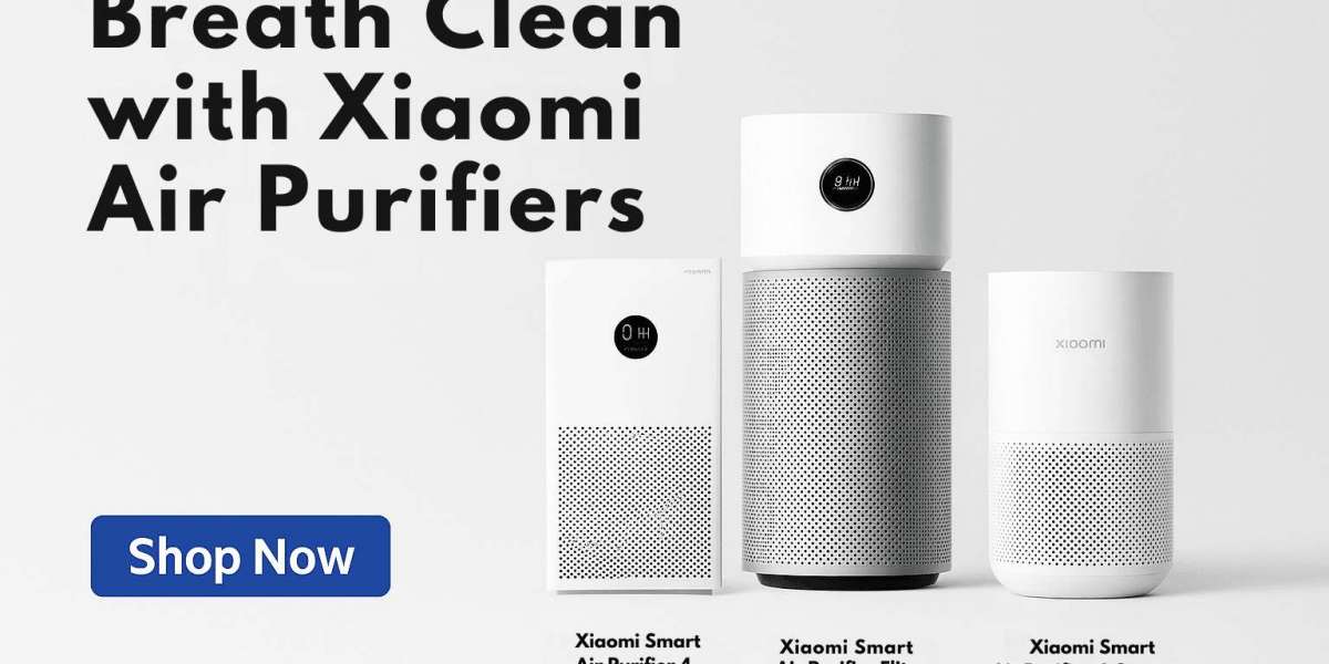 10 Reasons Why Air Purifiers Are a Game Changer for Your Home
