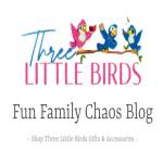 Fun Family Chaos