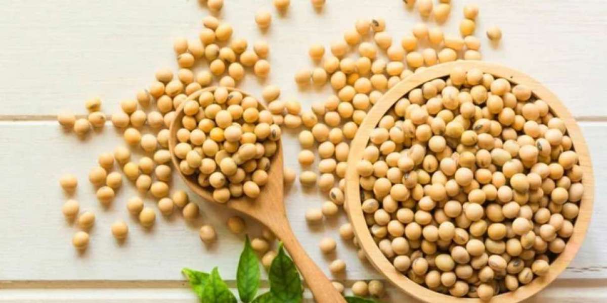 Top Benefits of Soyabeans for Health, Nutrition & Lifestyle