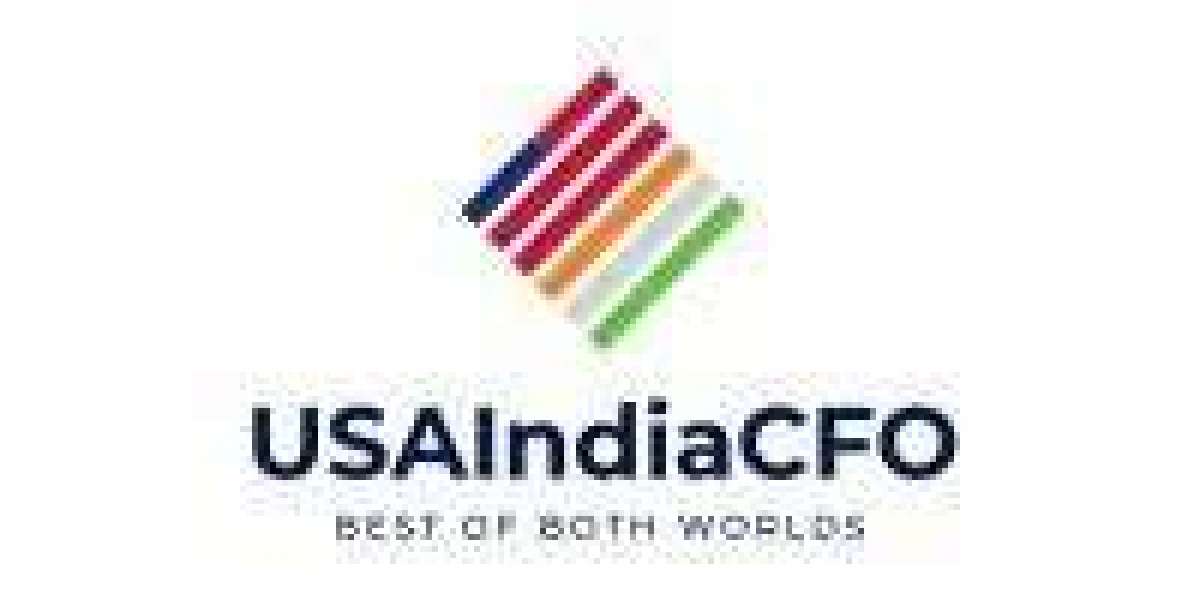 A Beginner’s Guide to Virtual CFO Services in USA and India