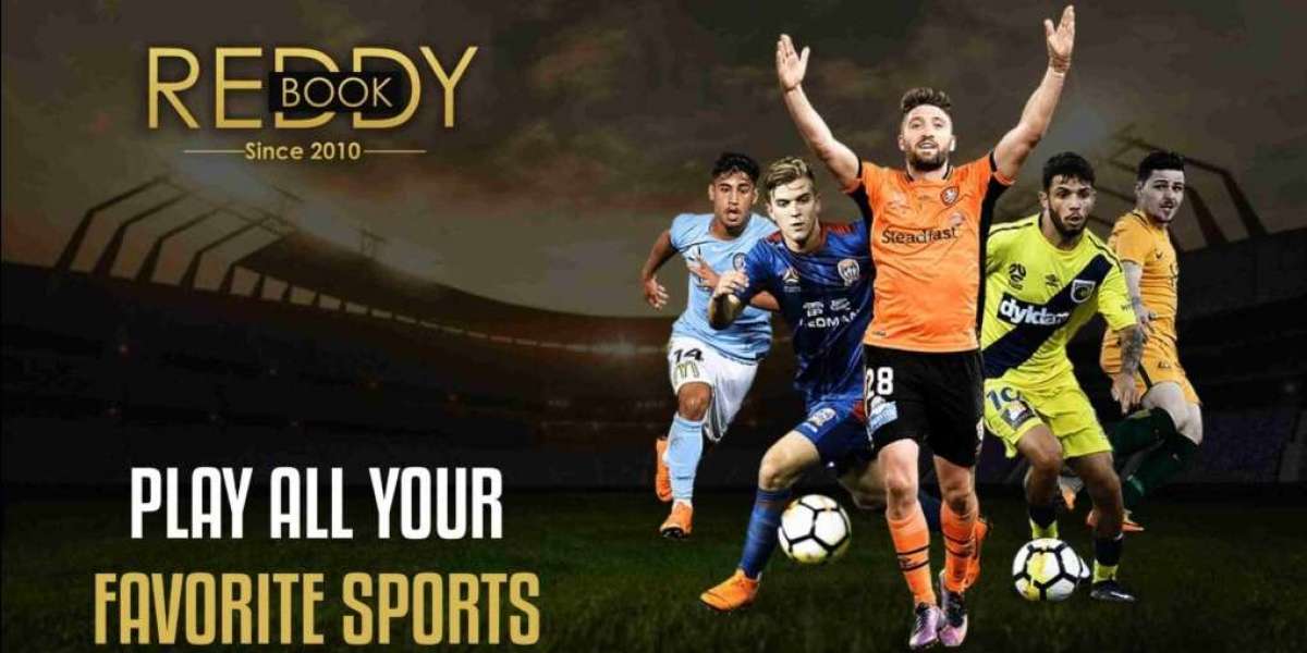 Beyond the Boundary: Your Guide to a Secure Online Cricket Betting Experience