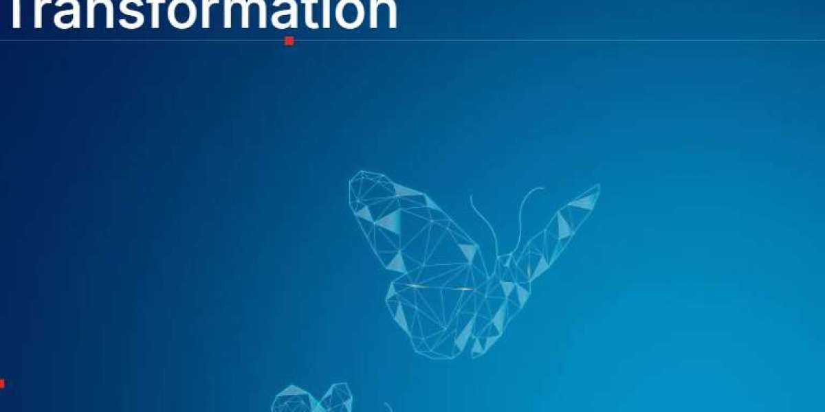 Business Operations Services Driving Seamless CX
