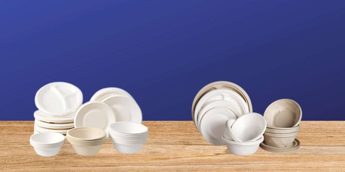 What is Sugarcane Tableware and Why Is It Eco-Friendly?