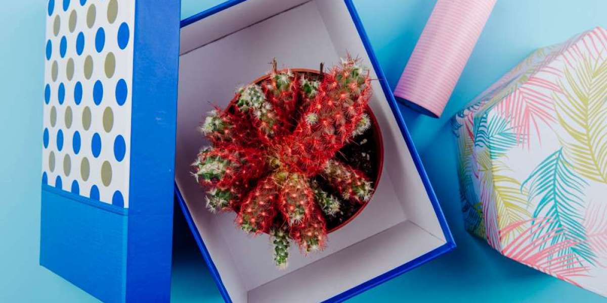 Creative Uses of Custom Rigid Boxes Beyond Retail Packaging