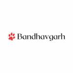 tigersafaribandhavgarh