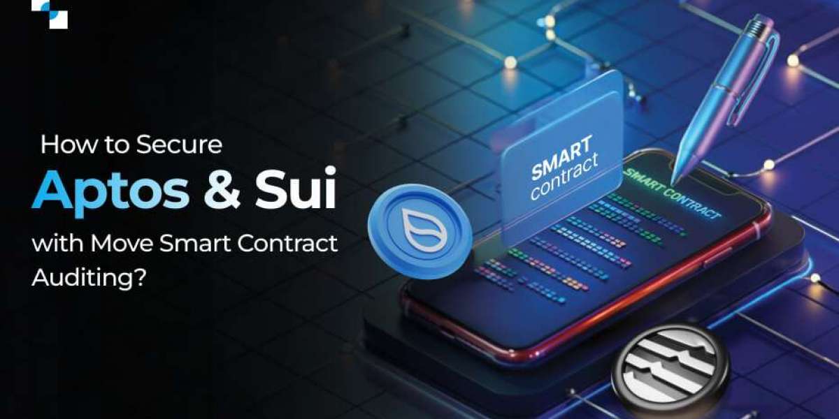 Prevent the Next Billion-Dollar Hack With Move Smart Contract Auditing