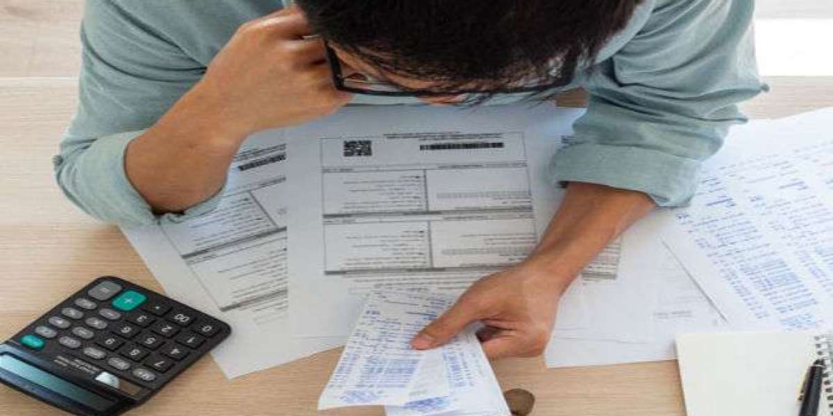 How Can Professionals Simplify Your Income Tax Filing
