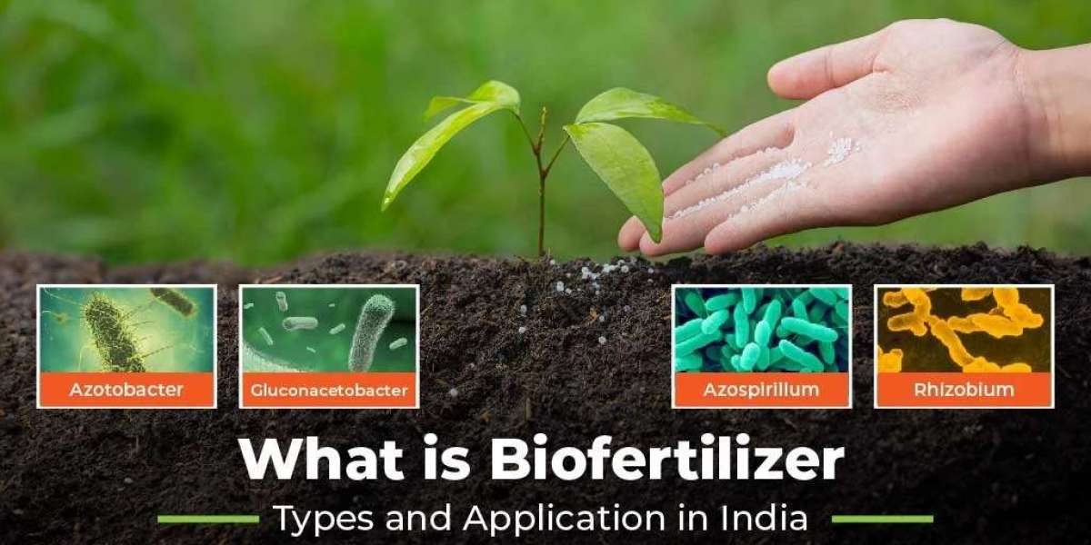 Discover the various types of Biofertilizers and their use in Agriculture