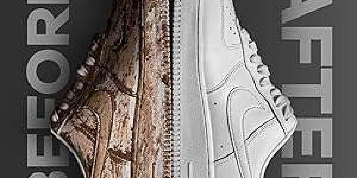 Best Sneakers Cleaner for Long-Lasting Sneaker Style