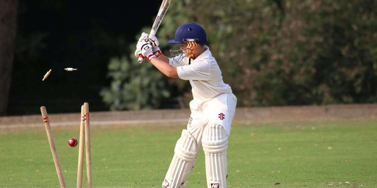 Wheon Cricket 07: The Unforgettable Legacy of a Cricket Gaming Masterpiece