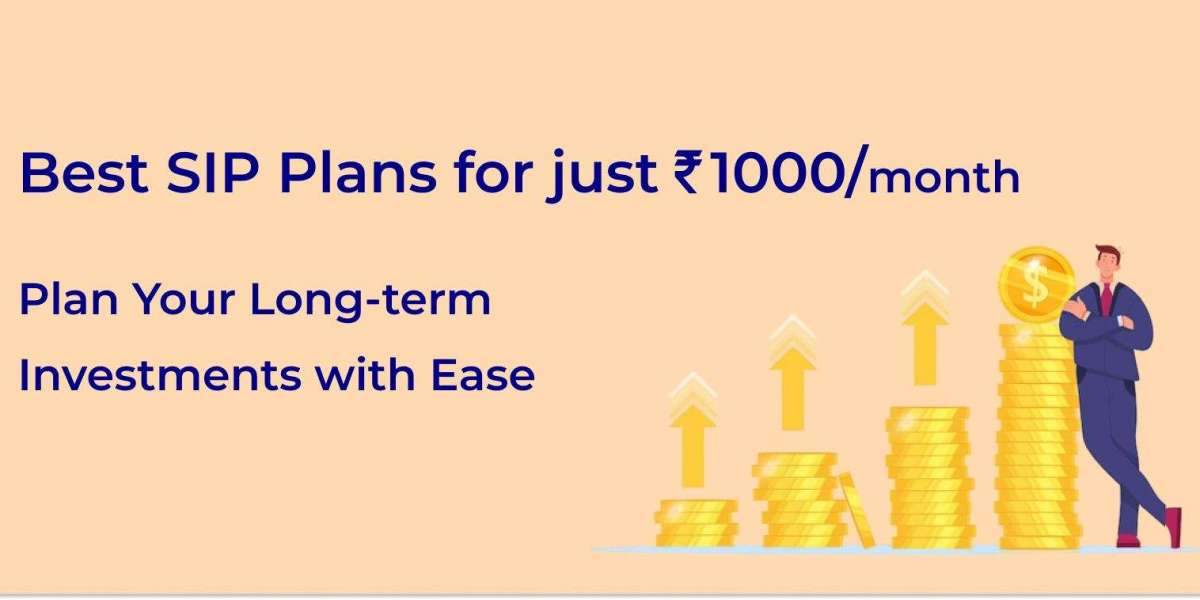 Top 7 Best SIP Plans for 1000 per Month to Start Smart Investing