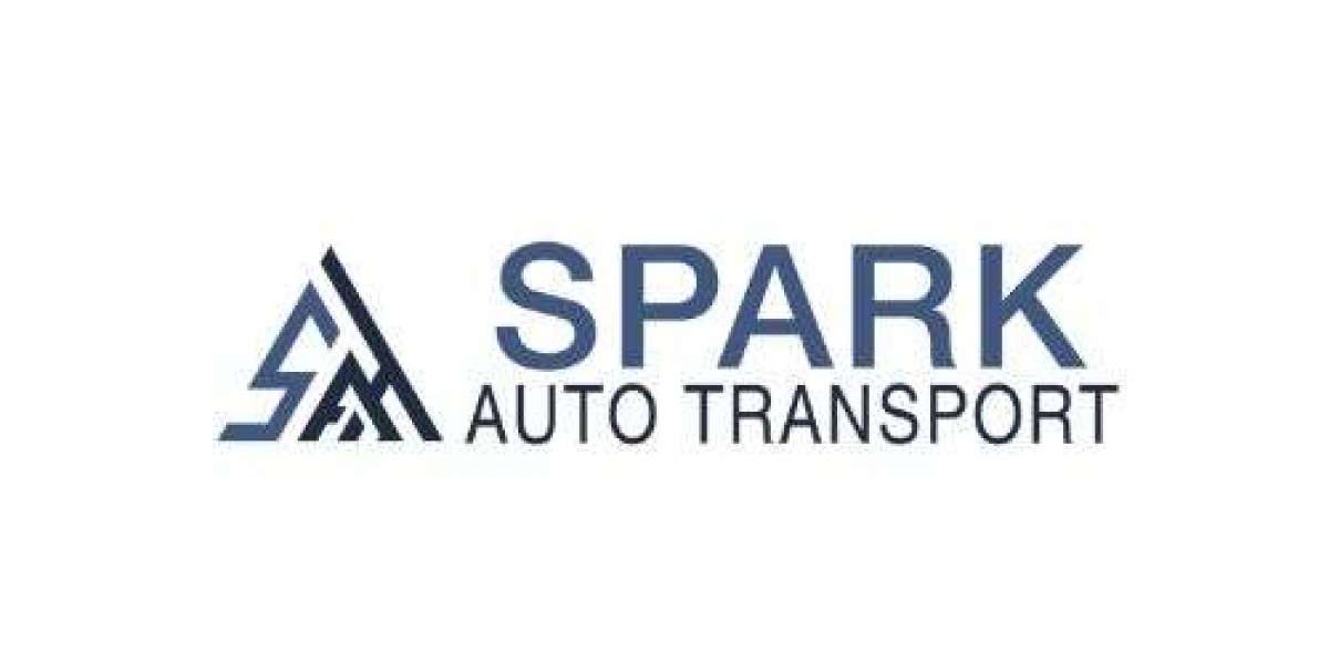 What Is Expedited Auto Transport and How Does It Work?