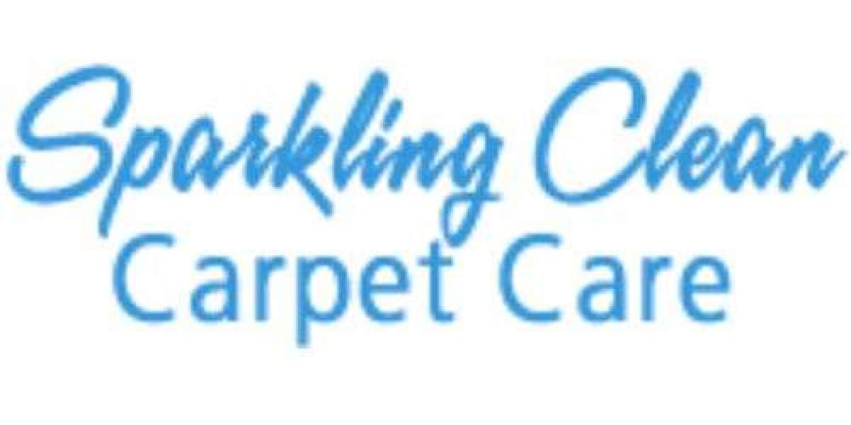 Sparkling Clean Carpet Care: Expert Carpet Cleaning and Water Damage Services in Toledo Ohio