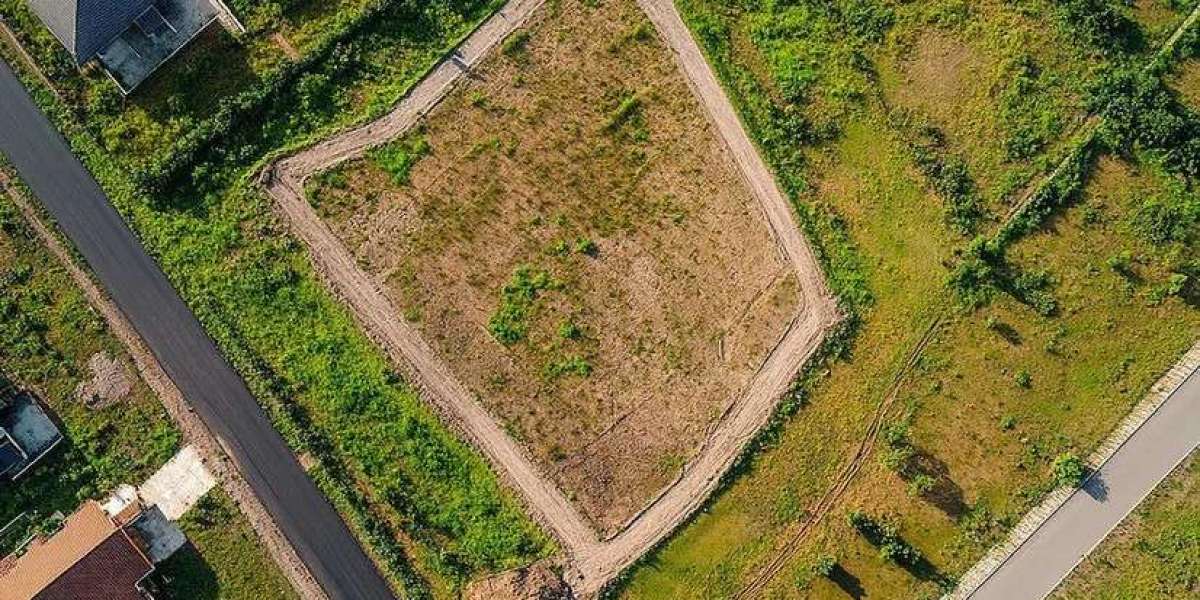 Residential Surveyor, 3D Property Survey, and Construction Layout: A Complete Guide