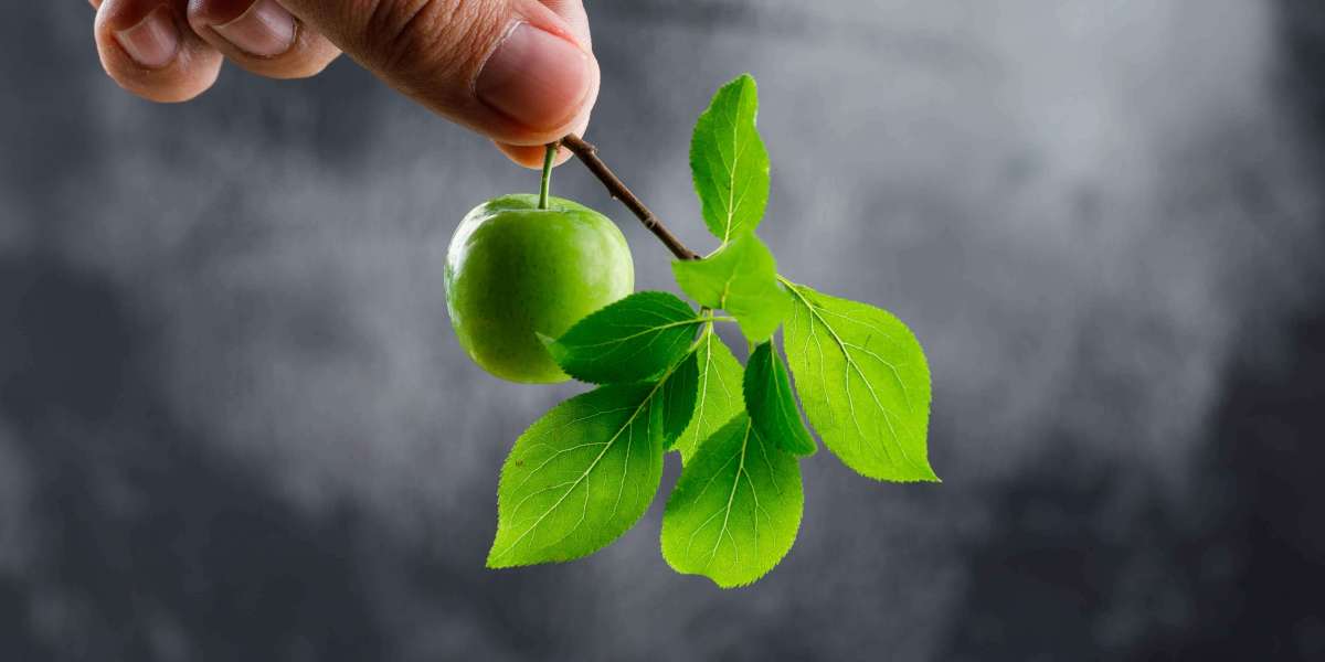 Understanding Leaf Extract Price: Factors That Affect Cost
