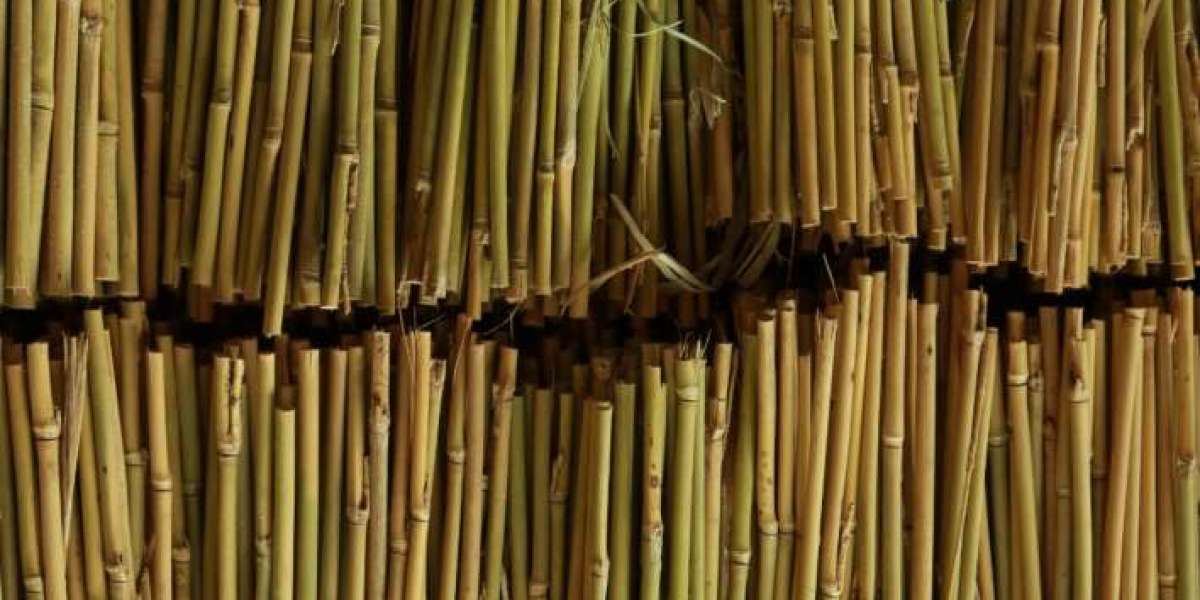 The Aesthetic Appeal of Bamboo Stick Fences in Outdoor Spaces