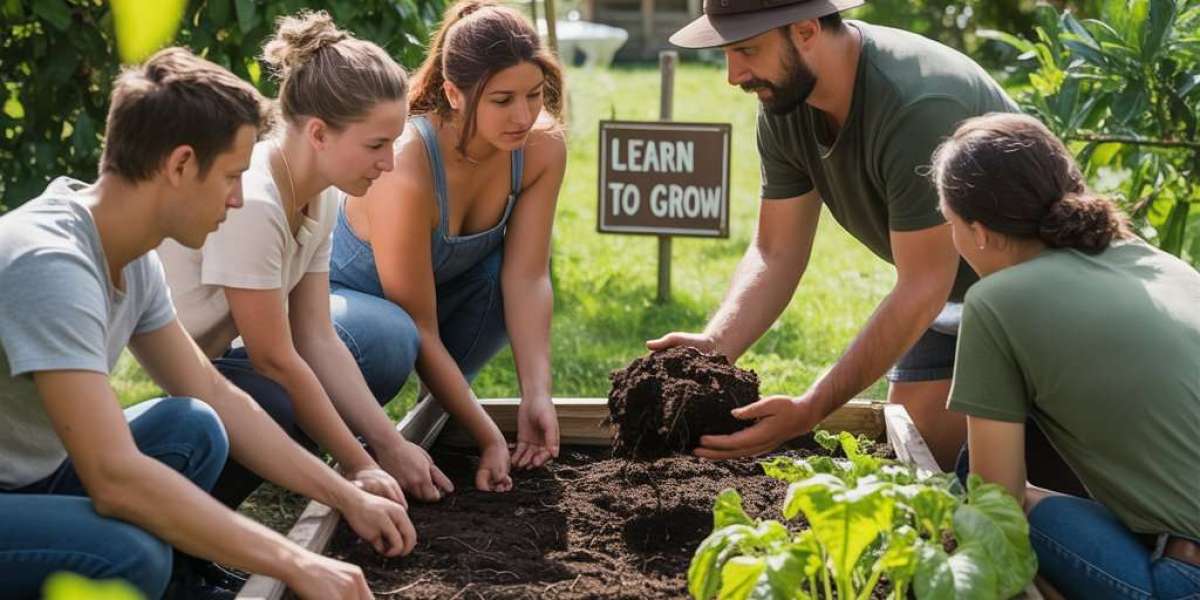How a PDC Online Course Can Kickstart Your Sustainable Living Journey