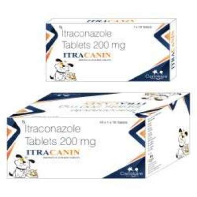 Itraconazole Tablets 200mg Itracanin For Dog & Cat Profile Picture