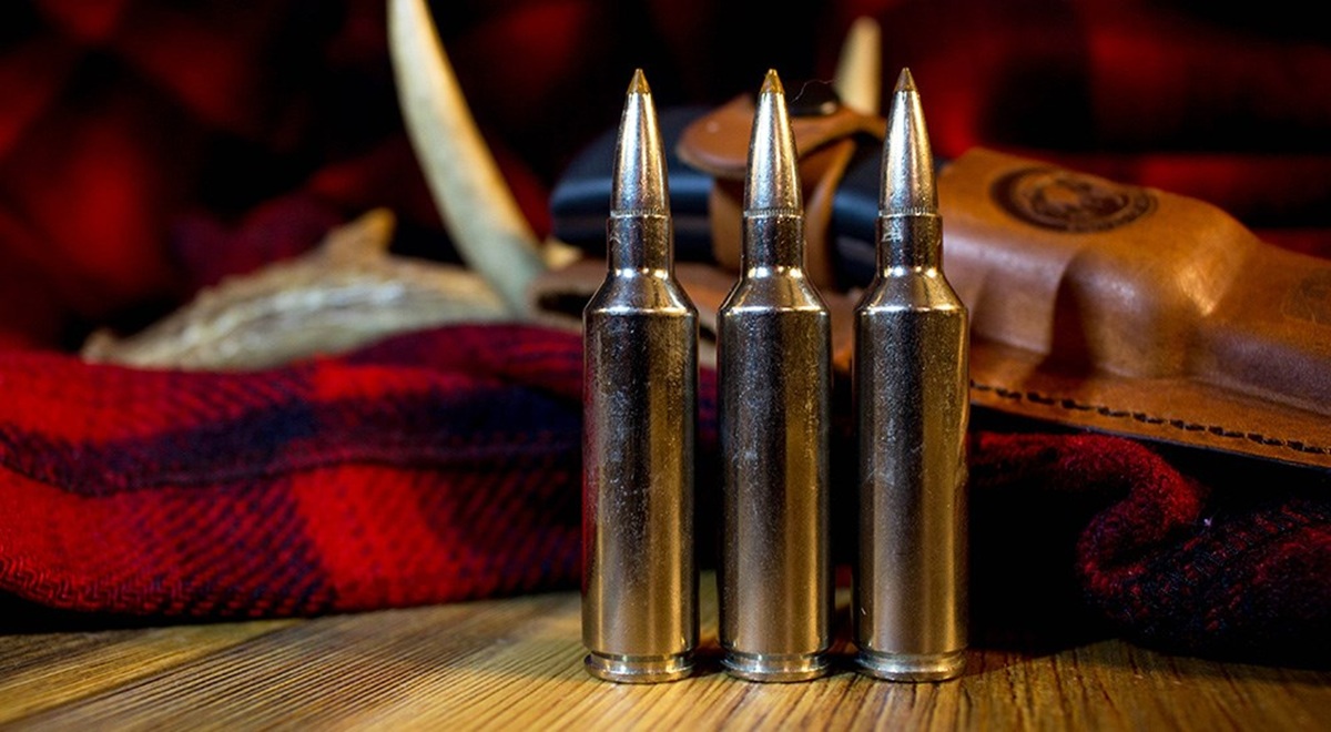 How to Match .270 Winchester Cartridges With Your Hunting Needs – A Bit of Everything