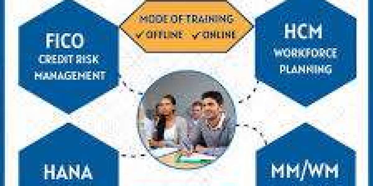 Best S.A.P FICO institute in Hyderabad
