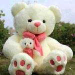pamla lamb