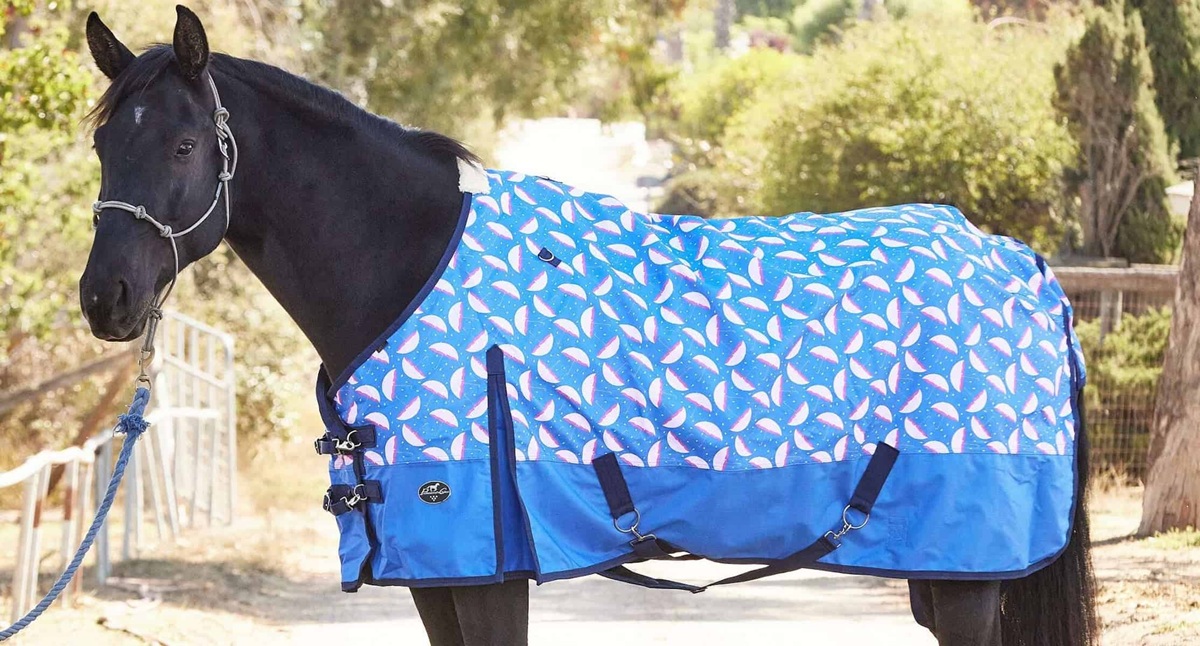 Horse Rain Sheets and Turnout Blankets – Timeless Pages