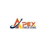 Apex Web Cube
