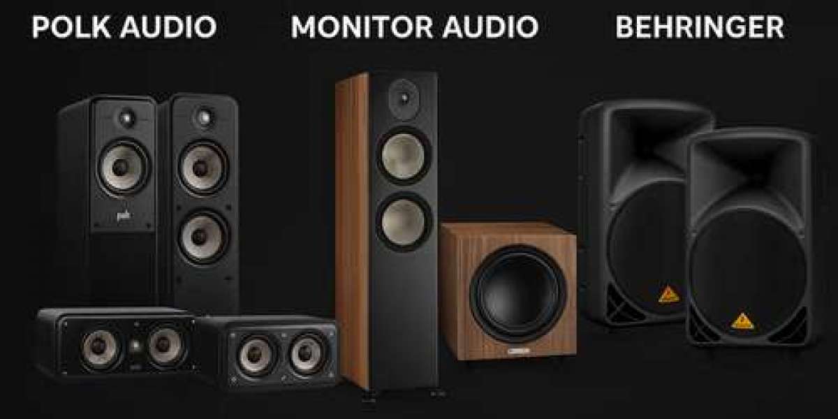 Polk Audio India and Sonodyne Amplifiers: Expert Insights for Audiophiles