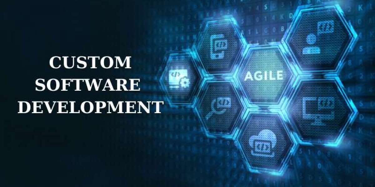Custom Software Development: Driving Innovation and Efficiency in the Digital Era