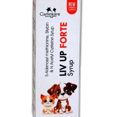 Liv UP Forte Syrup Supplements For Cat & Dog Profile Picture