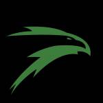 Falcons Landscaping